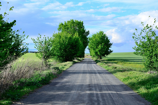 camino