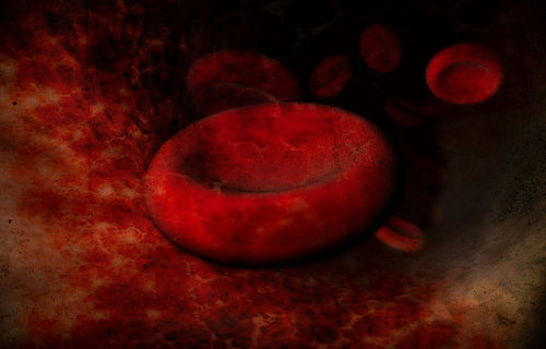 globulos rojos