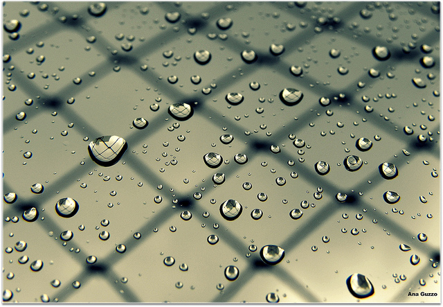gotas