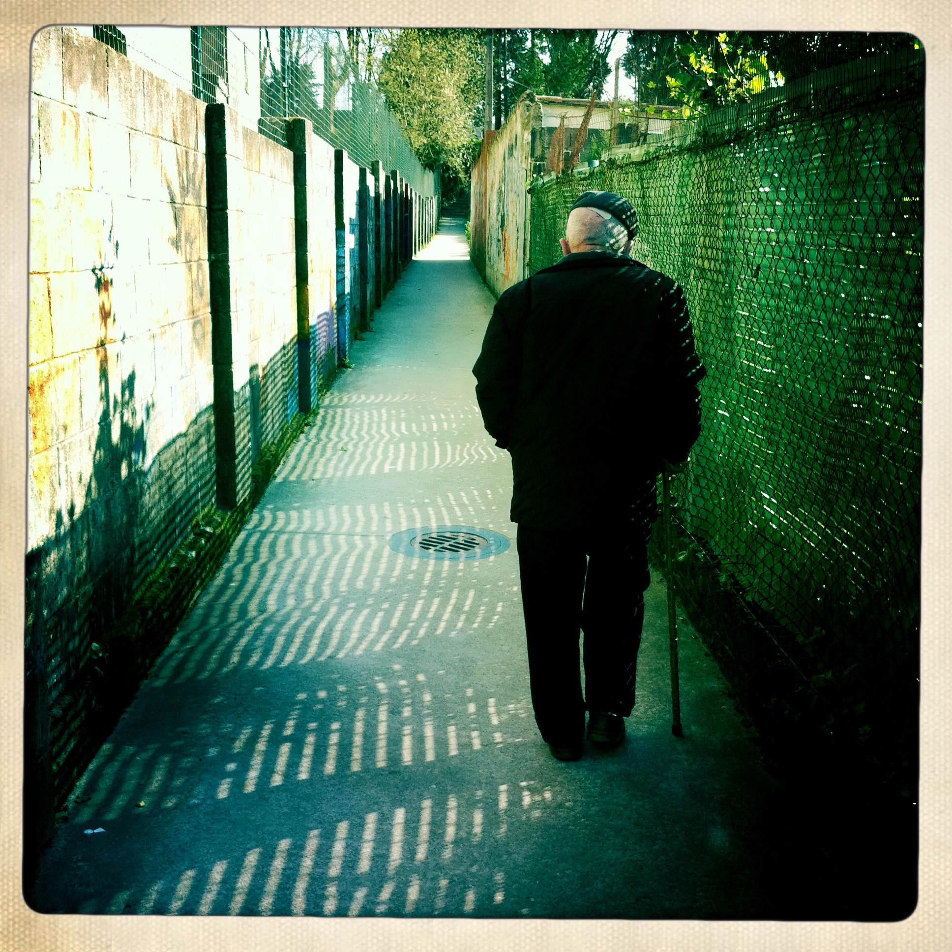 anciano